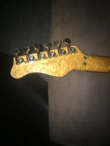 Valley Arts Custom Pro