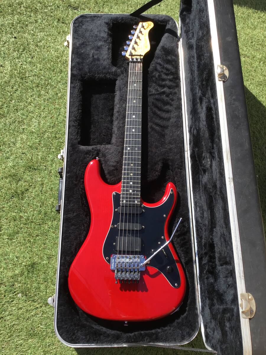 Valley Arts m Valley Arts M series Deluxe EMG SASA85搭載 Series